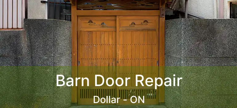 Barn Door Repair Dollar - ON