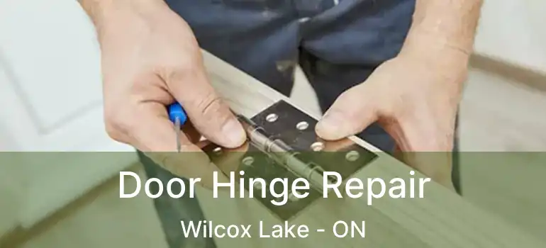 Door Hinge Repair Wilcox Lake - ON