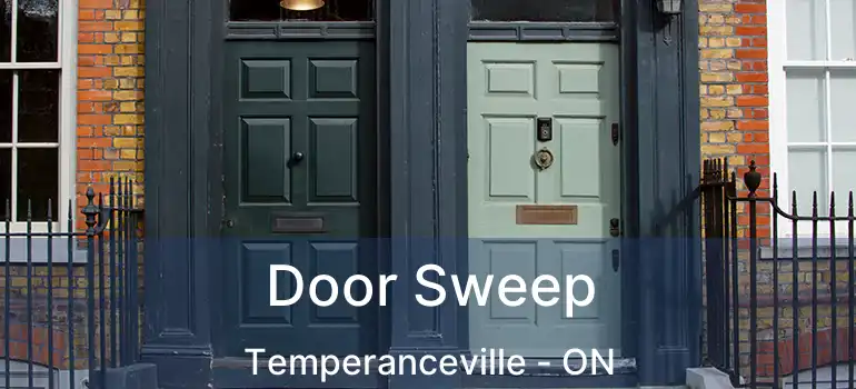 Door Sweep Temperanceville - ON
