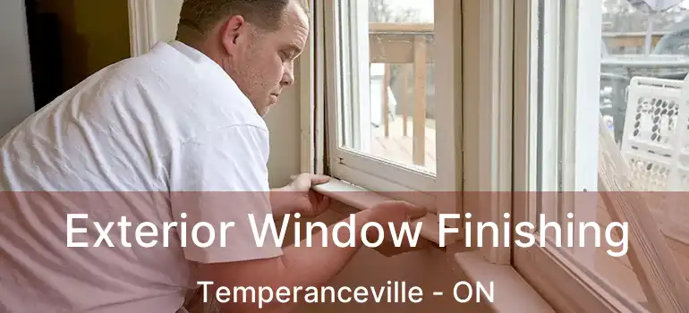 Exterior Window Finishing Temperanceville - ON