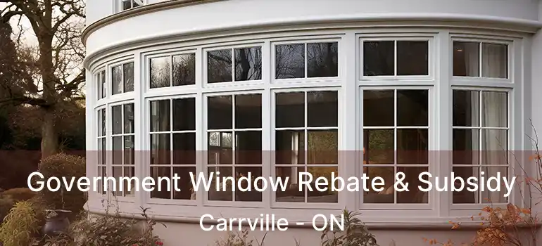 Government Window Rebate & Subsidy Carrville - ON