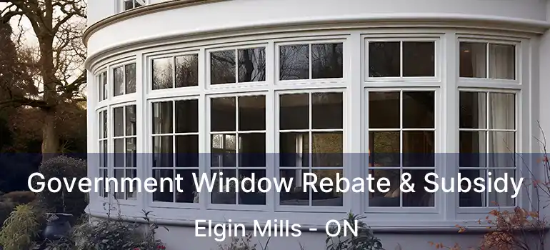 Government Window Rebate & Subsidy Elgin Mills - ON