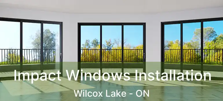 Impact Windows Installation Wilcox Lake - ON