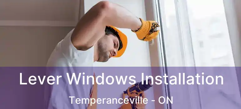 Lever Windows Installation Temperanceville - ON
