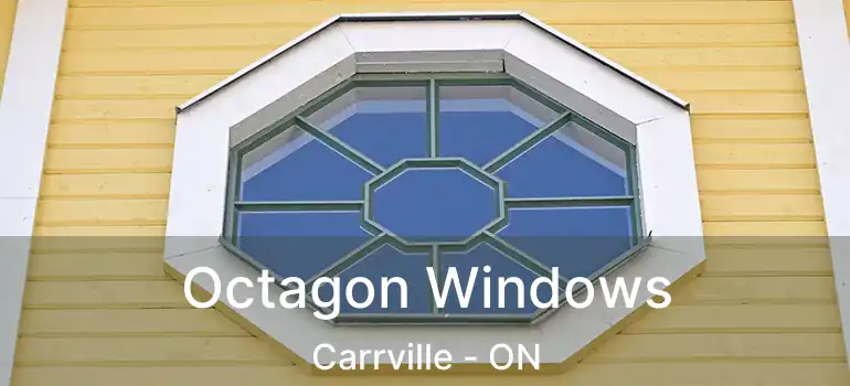 Octagon Windows Carrville - ON