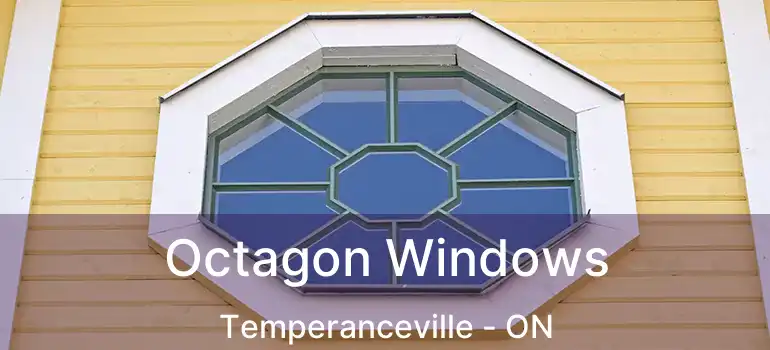 Octagon Windows Temperanceville - ON