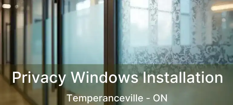 Privacy Windows Installation Temperanceville - ON