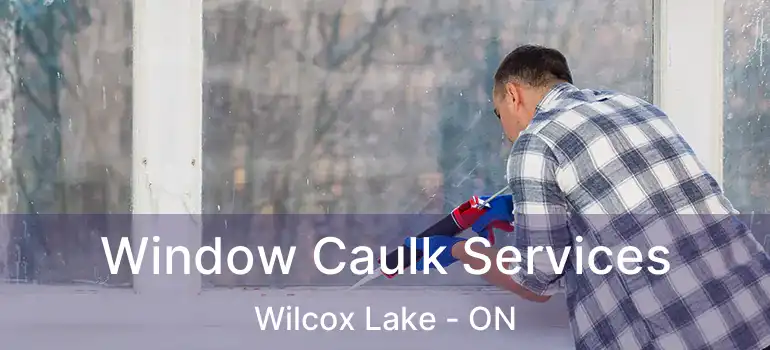 Window Caulk Services Wilcox Lake - ON