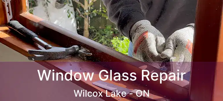 Window Glass Repair Wilcox Lake - ON