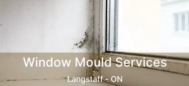 Window Mould Services Langstaff - ON