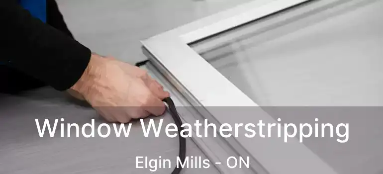 Window Weatherstripping Elgin Mills - ON